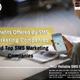 Illustration for article titled Benefits Offered By SMS Marketing Companies And Top SMS Marketing Companiesem/em